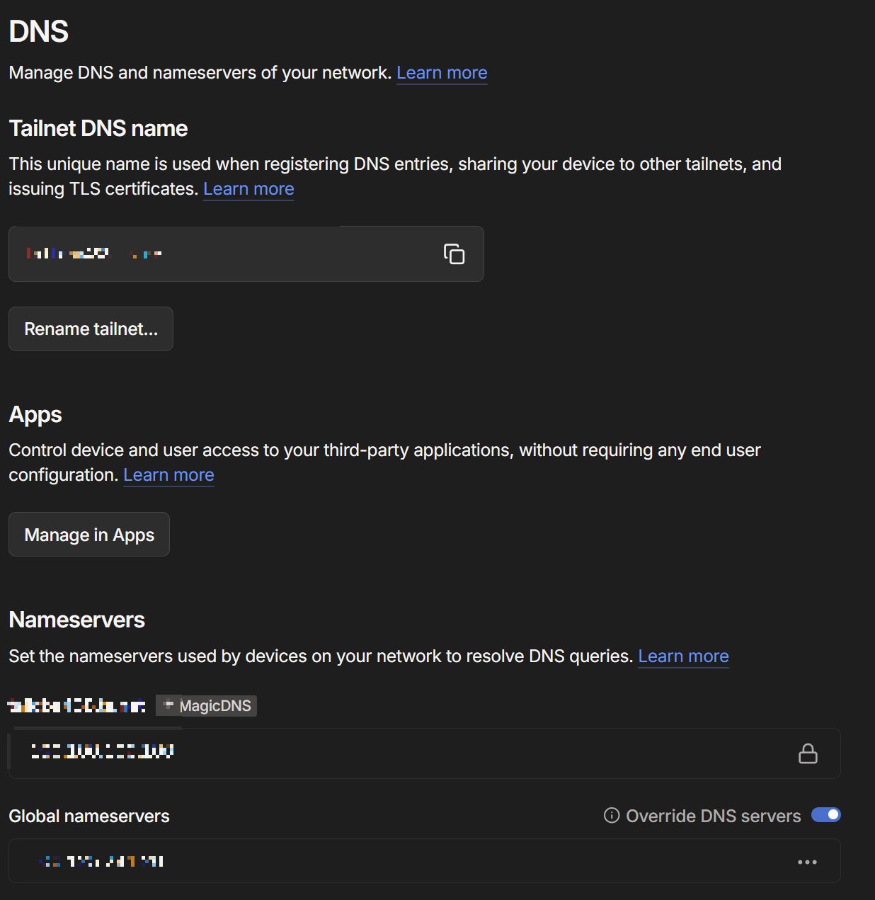 Tailscale admin DNS settings showing custom nameserver with Override DNS servers enabled